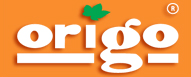 Logo Origo.com.pl